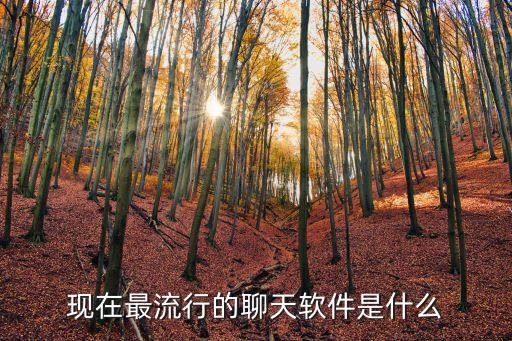 現(xiàn)在最流行的聊天軟件是什么
