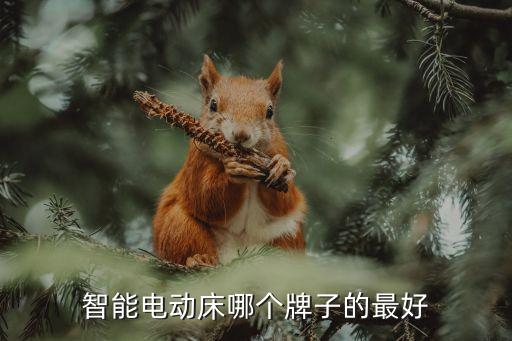 智能電動床哪個牌子的最好