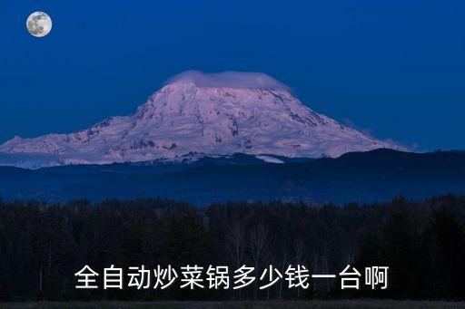全自動(dòng)炒菜鍋多少錢一臺(tái)啊