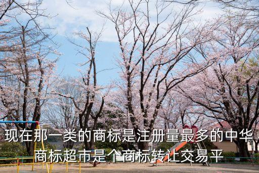 現(xiàn)在那一類的商標(biāo)是注冊(cè)量最多的中華商標(biāo)超市是個(gè)商標(biāo)轉(zhuǎn)讓交易平