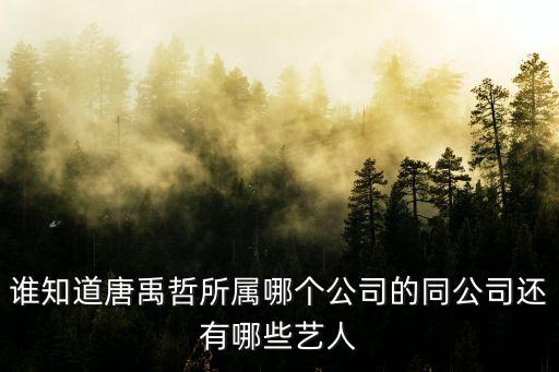 誰知道唐禹哲所屬哪個(gè)公司的同公司還有哪些藝人
