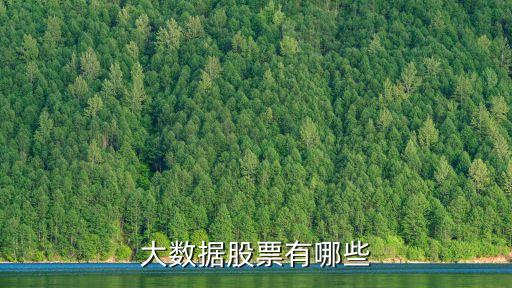 大數(shù)據(jù)股票有哪些