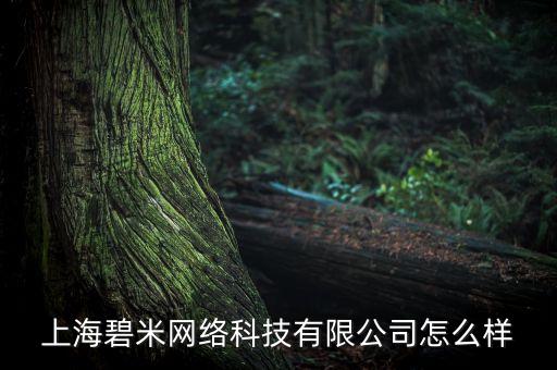 上海萌米網(wǎng)絡(luò)科技有限公司怎么樣，上海網(wǎng)萌網(wǎng)絡(luò)公司可靠嗎