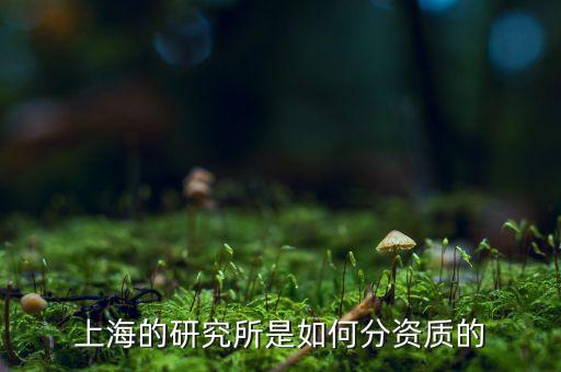 上海的研究所是如何分資質的