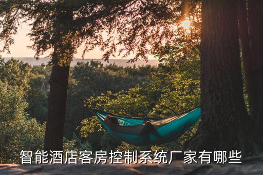 客房智能產(chǎn)品有哪些品牌，智能酒店客房控制系統(tǒng)廠家有哪些