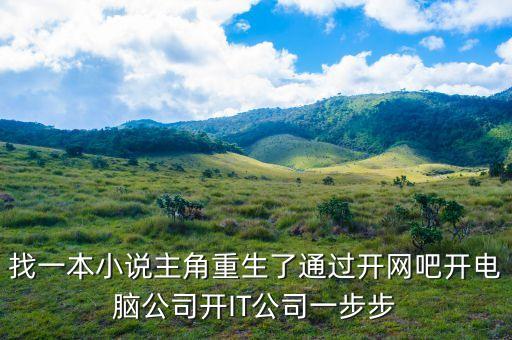 找一本小說主角重生了通過開網(wǎng)吧開電腦公司開IT公司一步步