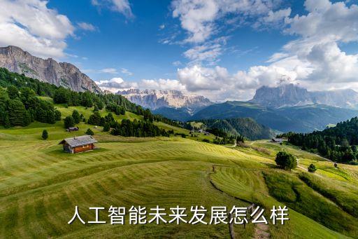人工智能未來發(fā)展怎么樣