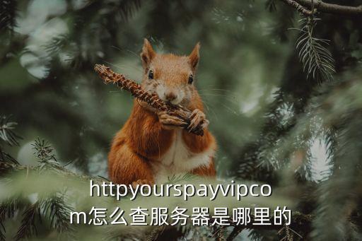 httpyourspayvipcom怎么查服務(wù)器是哪里的