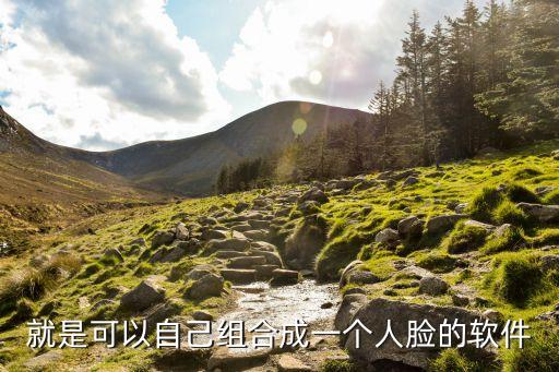 就是可以自己組合成一個人臉的軟件