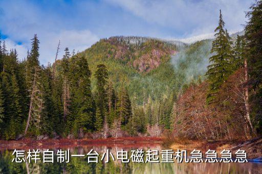 怎樣自制一臺(tái)小電磁起重機(jī)急急急急