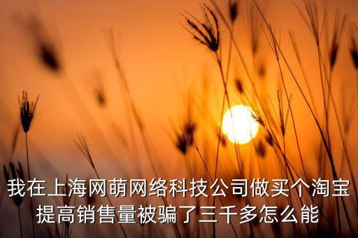 上海網(wǎng)萌科技是干嘛的，上海網(wǎng)萌網(wǎng)絡公司可靠嗎