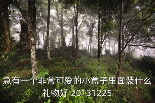 急有一個(gè)非常可愛(ài)的小盒子里面裝什么禮物好 20131225