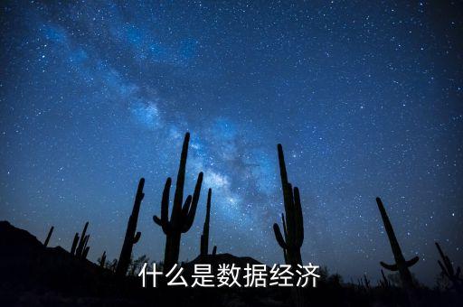 什么是數(shù)據(jù)經(jīng)濟
