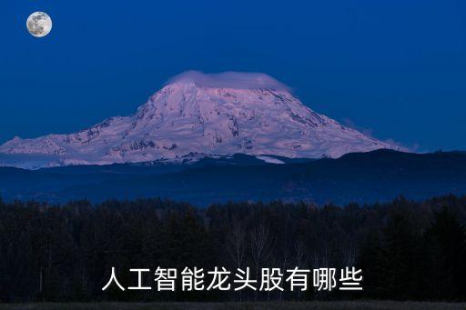 人工智能龍頭股有哪些