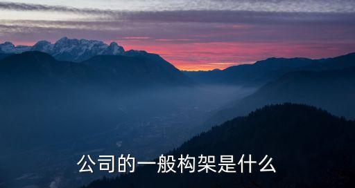 一家公司的基本架構，公司的一般構架是什么
