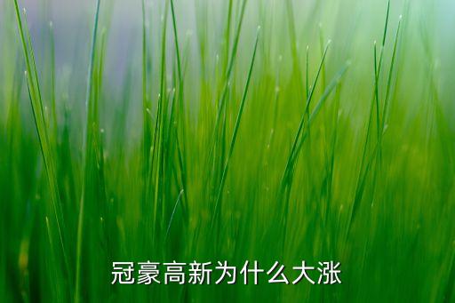 冠豪高新為什么大漲