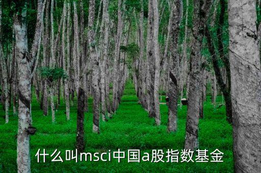 什么叫msci中國(guó)a股指數(shù)基金