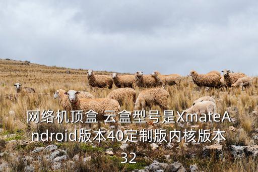 最新云盒，新穎云盒如何下載app