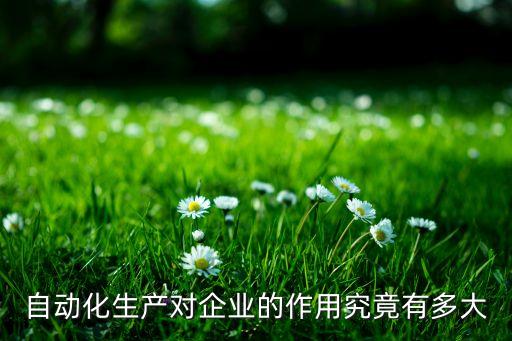 自動化生產(chǎn)對企業(yè)的作用究竟有多大
