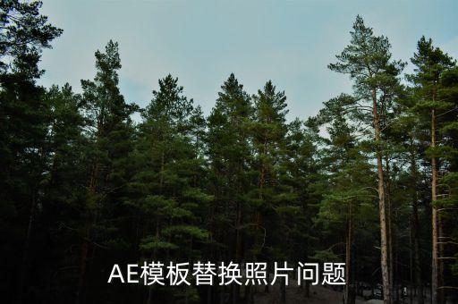 AE模板替換照片問題