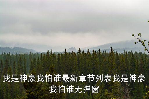我是神豪我怕誰最新章節(jié)列表我是神豪我怕誰無彈窗