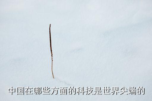 中國(guó)在哪些方面的科技是世界尖端的