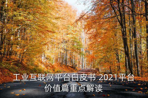 工業(yè)互聯(lián)網(wǎng)平臺(tái)白皮書(shū) 2021平臺(tái)價(jià)值篇重點(diǎn)解讀