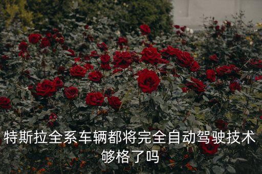 特斯拉全系車輛都將完全自動(dòng)駕駛技術(shù)夠格了嗎