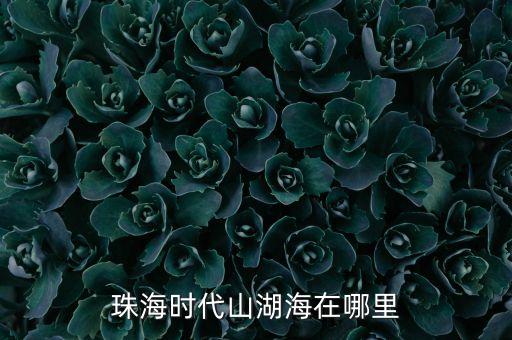 珠海時(shí)代山湖海在哪里