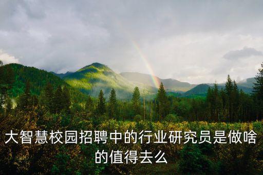 大智慧校園招聘中的行業(yè)研究員是做啥的值得去么