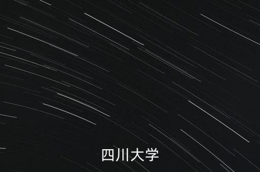 四川大學(xué)