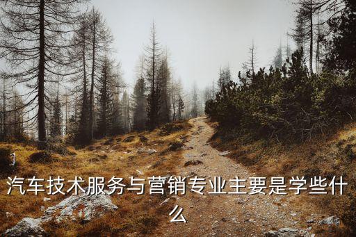 汽車技術(shù)服務(wù)與營銷專業(yè)主要是學(xué)些什么