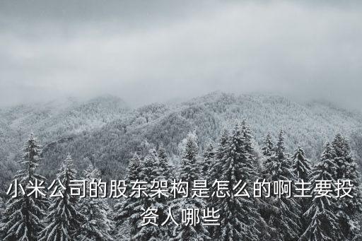 小米集團(tuán)組織架構(gòu)圖詳細(xì)，你好啊公司組織結(jié)構(gòu)圖怎么做啊