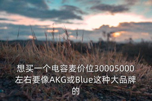 想買一個電容麥價位30005000左右要像AKG或Blue這種大品牌的