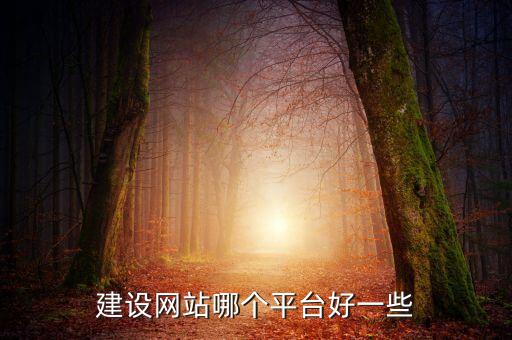 建設(shè)網(wǎng)站哪個平臺好一些