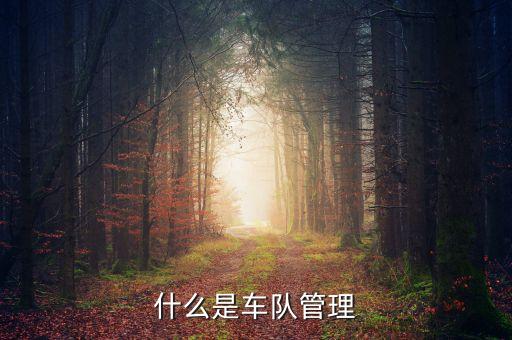 自動(dòng)駕駛車隊(duì)管理，什么是車隊(duì)管理
