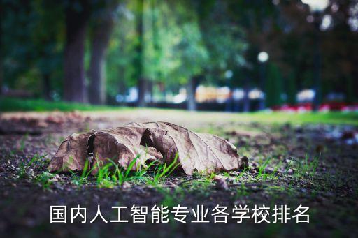 國內(nèi)人工智能專業(yè)各學(xué)校排名