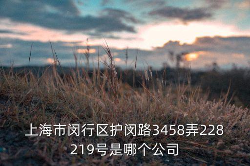 上海鑫越自動(dòng)化設(shè)備有限公司，上海市閔行區(qū)護(hù)閔路3458弄228219號(hào)是哪個(gè)公司