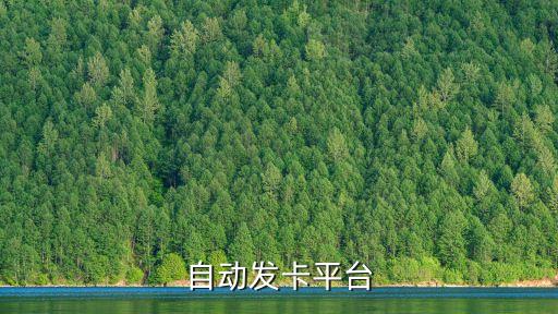 自動發(fā)卡平臺