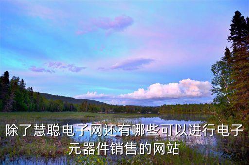 智能科技產(chǎn)品批發(fā)網(wǎng)站有哪些公司，除了慧聰電子網(wǎng)還有哪些可以進行電子元器件銷售的網(wǎng)站
