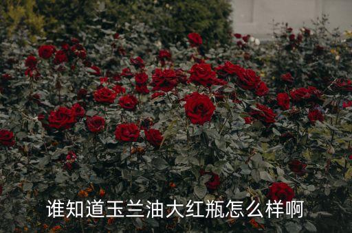 賦能與新生，誰知道玉蘭油大紅瓶怎么樣啊
