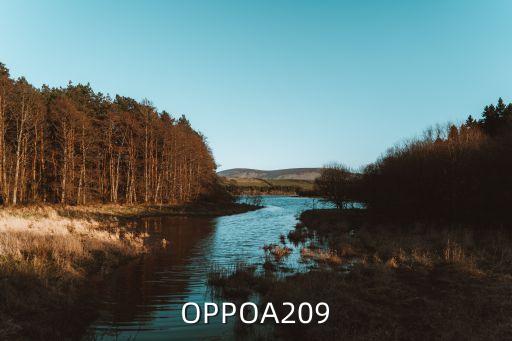 OPPOA209