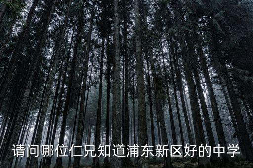 請問哪位仁兄知道浦東新區(qū)好的中學(xué)