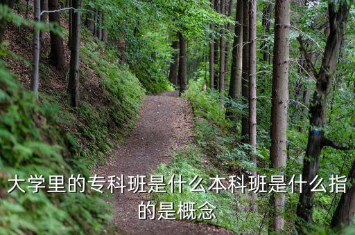 考試命題中的技術(shù)支撐指的是什么，計(jì)算機(jī)題 什么叫支撐軟件