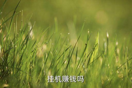 小蝦米掛機(jī)賺錢(qián)嗎，掛機(jī)軟件也可以賺錢(qián)這個(gè)是真的嗎