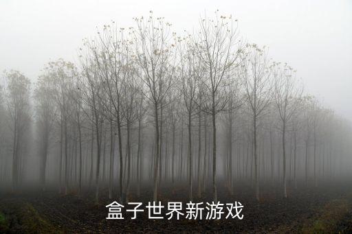 盒子世界新游戲