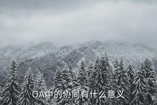 OA中的協(xié)同有什么意義
