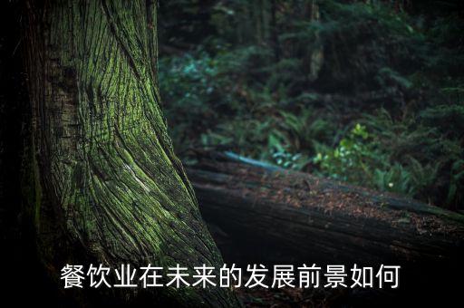 餐飲業(yè)在未來的發(fā)展前景如何