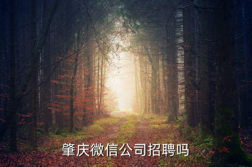 賽凡網絡科技有限公司招聘，肇慶微信公司招聘嗎