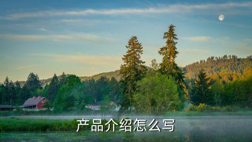 產(chǎn)品介紹怎么寫